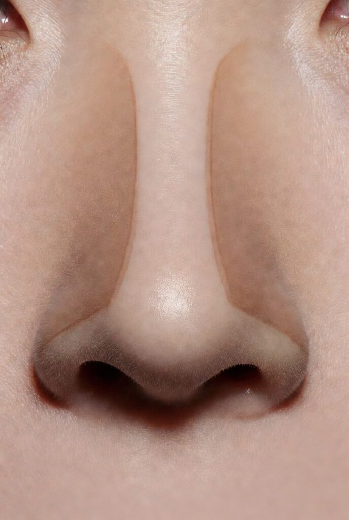 Nose Contour and Highlight Specifics